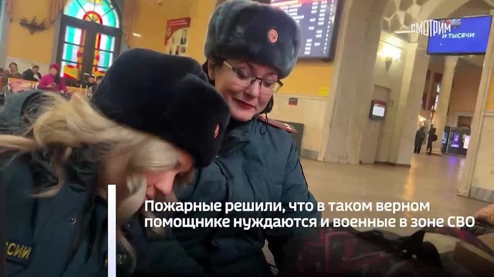 ��������� ��������� � ���� ��� ������� ��������� � ����� ������