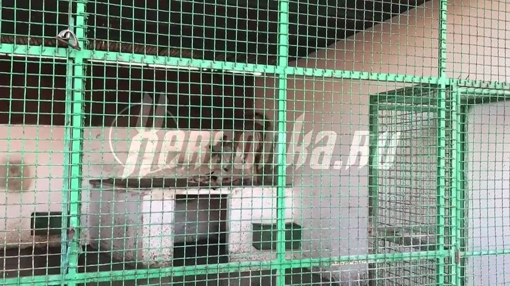 ��� � ������ ���������� ������ ���� ����� ���������� � �������� ������-����� �� ���������� ������� ��������� � ������� ����������� ������� ����