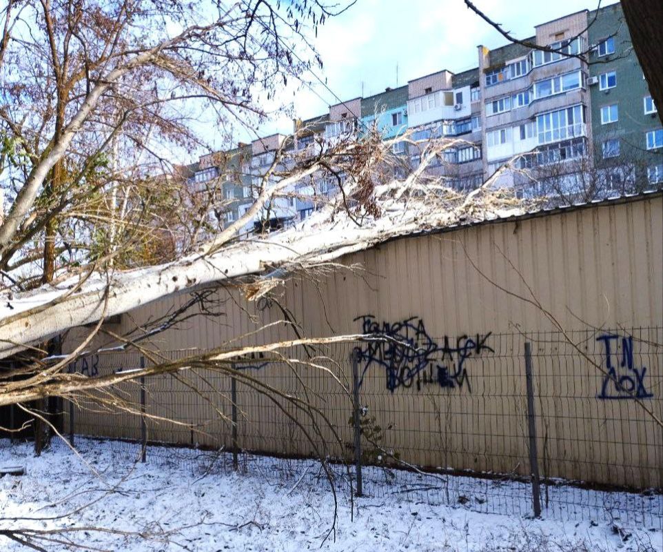 ������������� ������������� ����������� ���������� ����� � �������