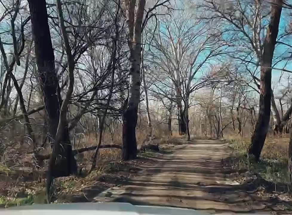 ��� ������: �������� ����� �������, ����������� ������ ������� ������