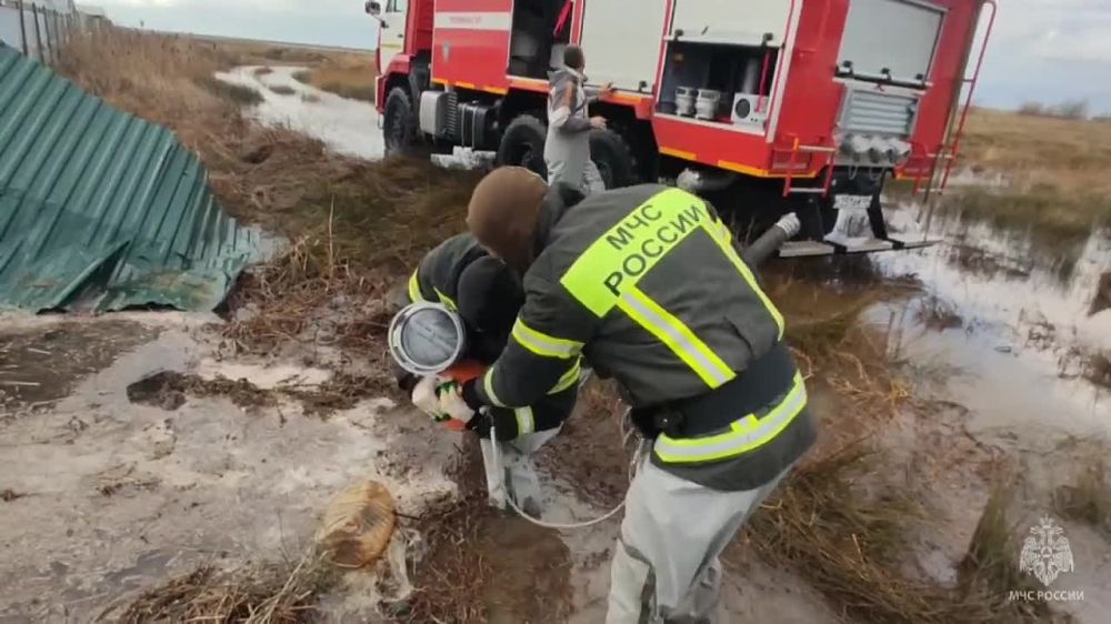 �� ���������� ������� ������ ������������ ���������� ������-�����