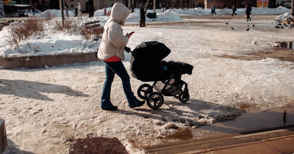 � 2024 ���� ������� ���� ���������� ������� ������ �������� ������� �����������