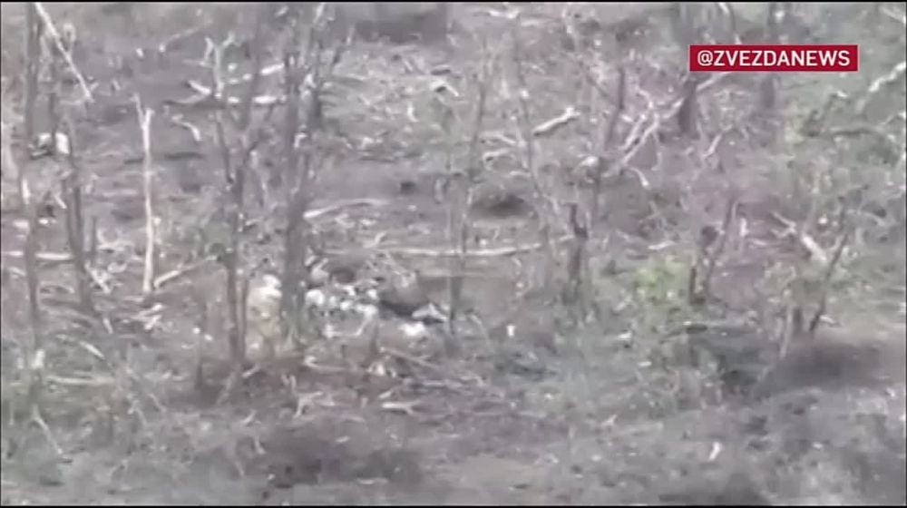 �������������� �� �� ���������� ���������� ��������� �� ���������� �����������