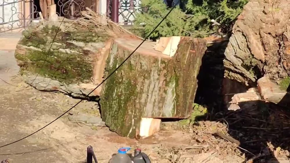 ����������� ����������� �������