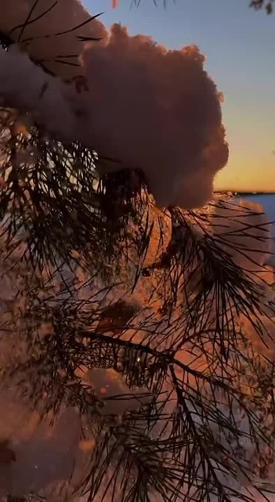 � ������ ���� ����