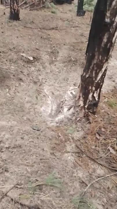 ��������� �������: �����, �� ����������: ��� ����� ���� �� ������ �� 5���� ���������, �������� � ������ ������� �� 5-7, �� ������� ����� ������� ������