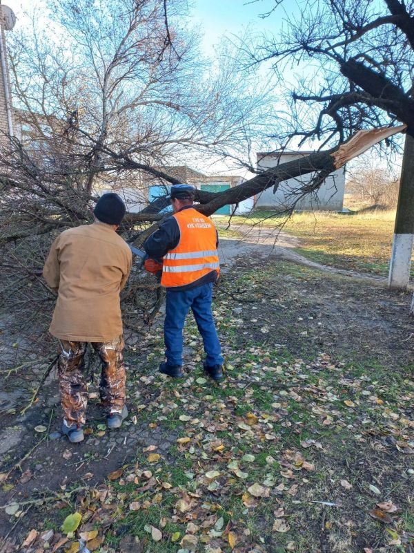 ��������� ��� �� "�� "������" ���������� ��������� ����������� ������