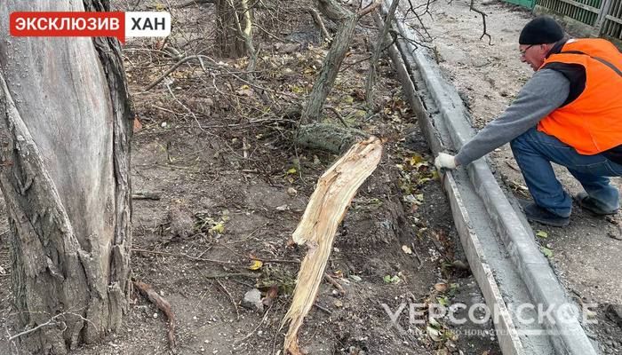 � ���������� ������� ����� ������� ������������ ����������������