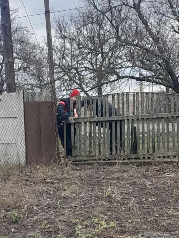 ������� ���������������� ����������