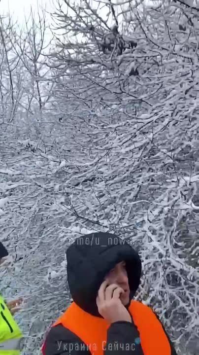 ������������� ����, ���, �������: �� ������� � ������� ���������� ��������� �� ���������� ���� � ������� �� ����������