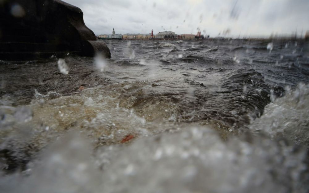 "����� ����" ���� ����� ���� ������� � �����