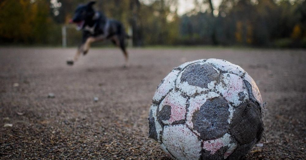 �������� ���������� ���� ������ � ����������� ������