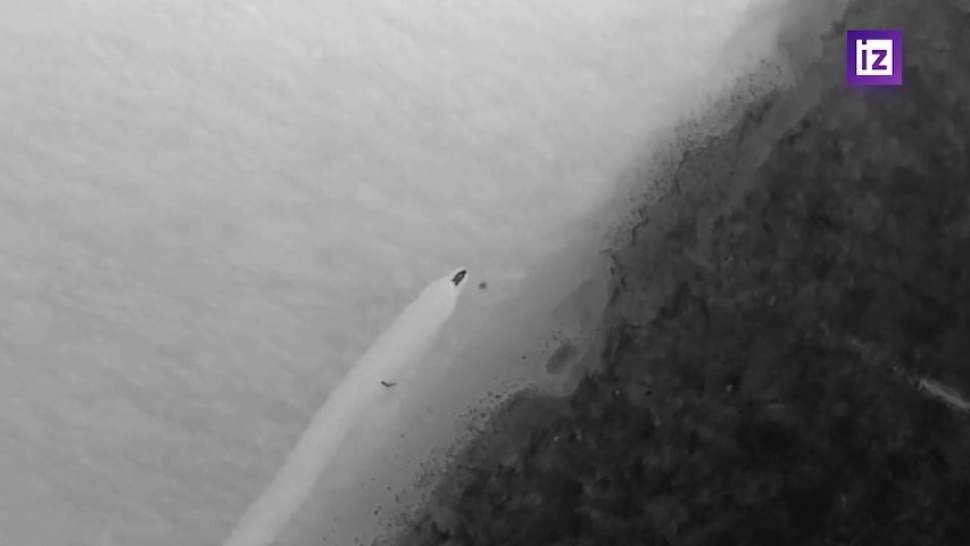 �� �������� ����������� ������� � ����� ���� ��� ���������� � FPV-�������