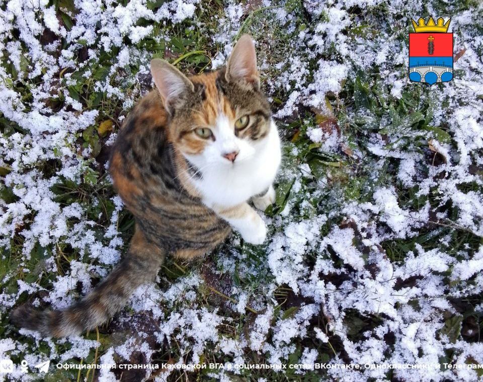 ������ ����, �������!. @VGA_Kakhovka