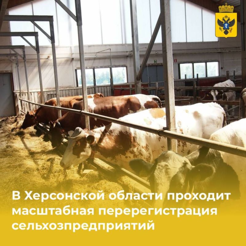 � ���������� ������� �������� ���������� ��������������� ������������������