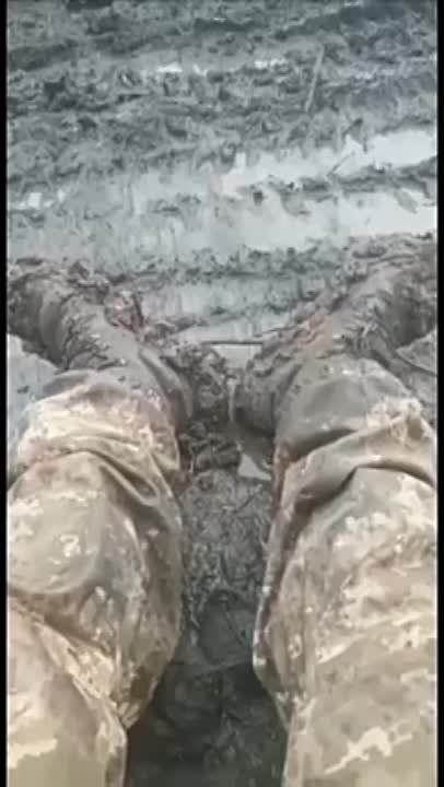 ���������� ������� ���������� ������������ � ��������� ��� � �������� � � ����� ������� ������ ����� ����������