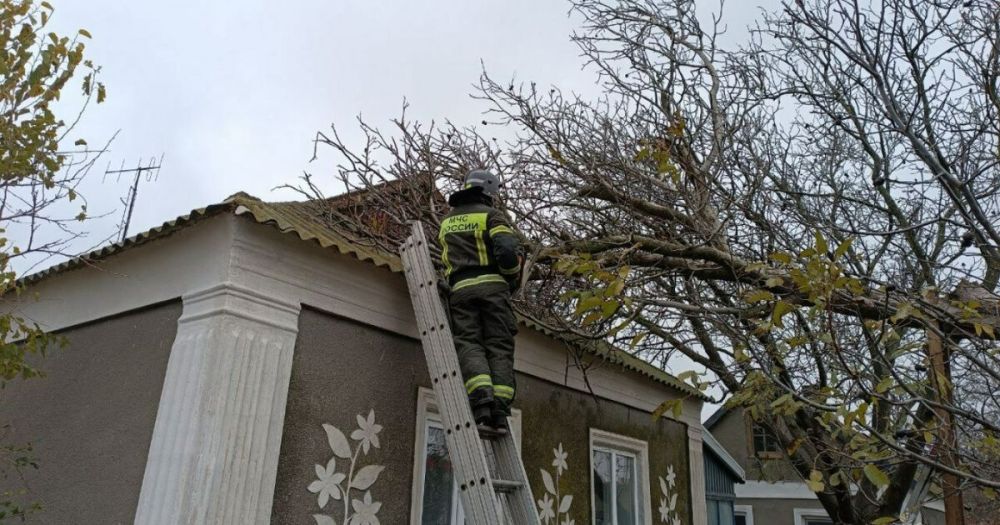 �� ����� ��������� � ���������� ������� ������ ��������� ������ ���������