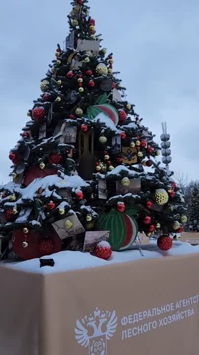 ��� ����� ���������� ���� �� ����, ��� ������������ ���������� ��� ���� �������� ��