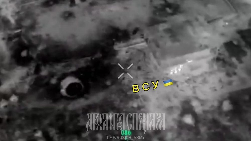 ����� �����: ���������� �����������, �.�. ������