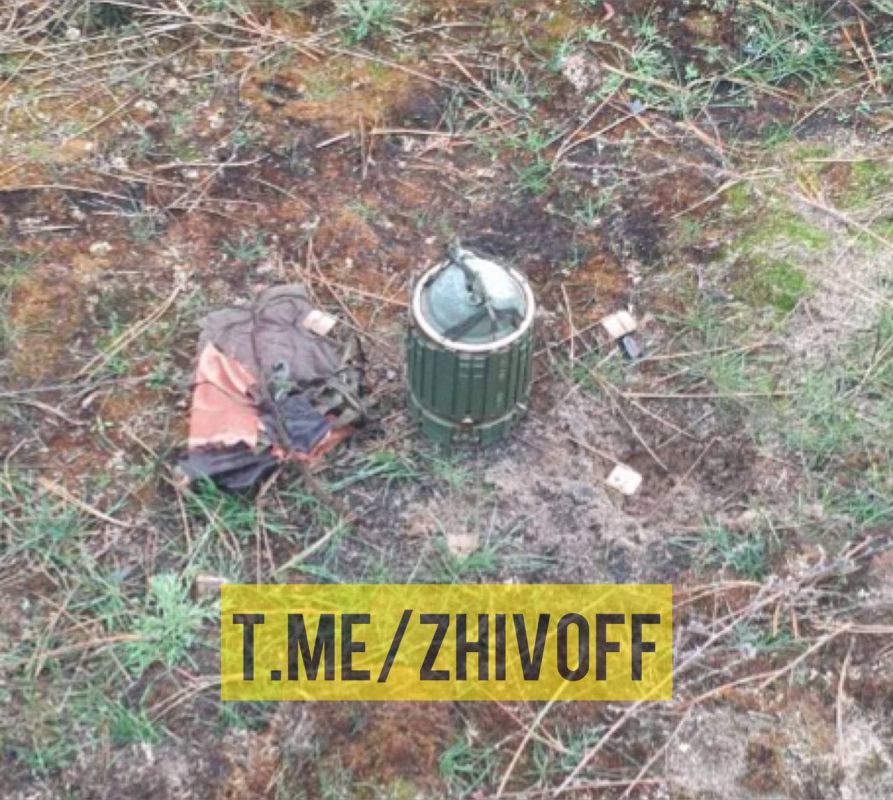 ������� �����: �������� ��������������� ���� DM1399 � ���������� ������� �������� �� ������