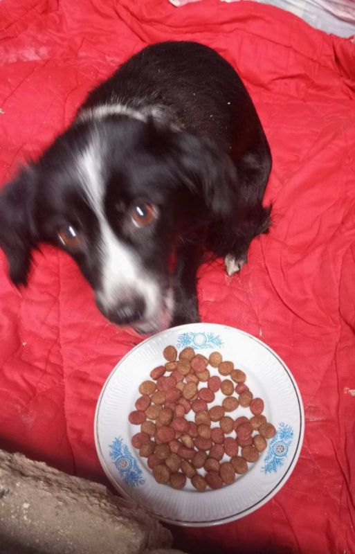 ��������� � ��������� ������ ������, �������� �������� ���