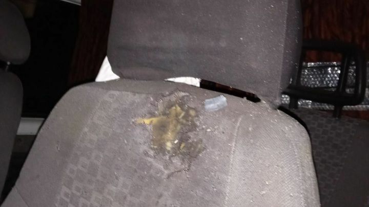 ��� ���������� ��� ������ ������ � ���� ����� ����������� �����