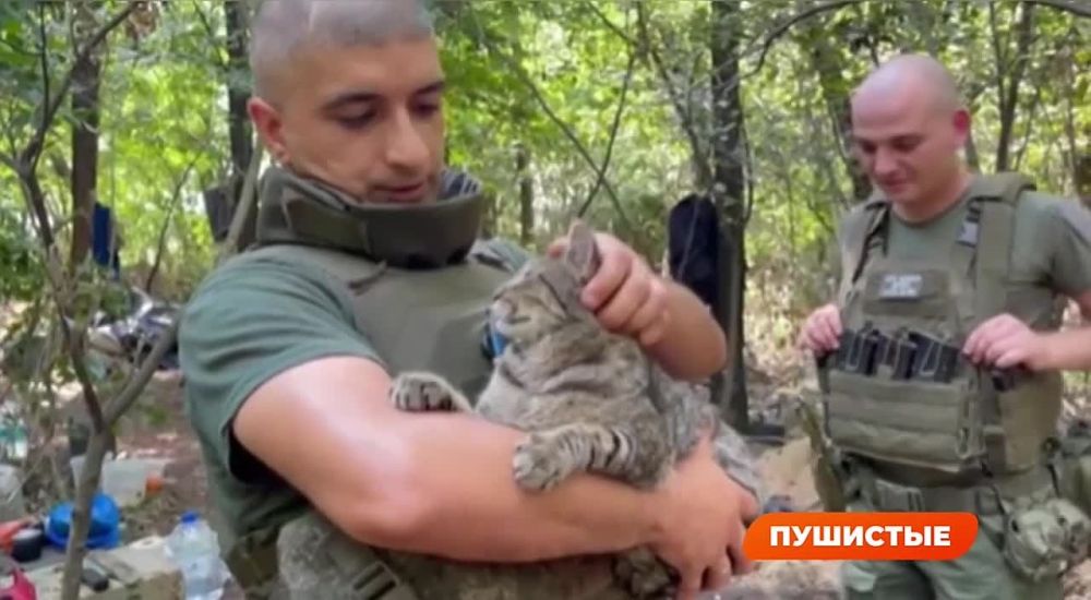 "�����" ���� �� ������ � ���� ���.