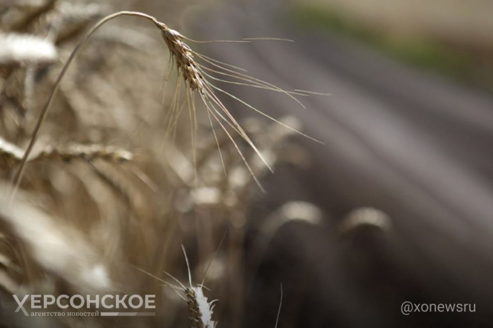 ������������� ������ �������� ����� 3 ���� ������ �� ���������� ���