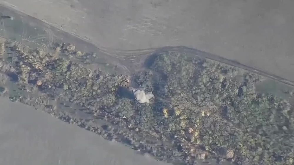 ����� ��� ��� ������ ������������� ����������� "������" ���������� �� ������������ ������ � ���������� ������� ��� ���������� �������������� ��������� � �������, � ����� ��������������� ������� ����� ���