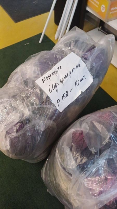 ������������ ������ ������ ������� ���������� ������� �������� ��������� ����������� ��� ������ ˻