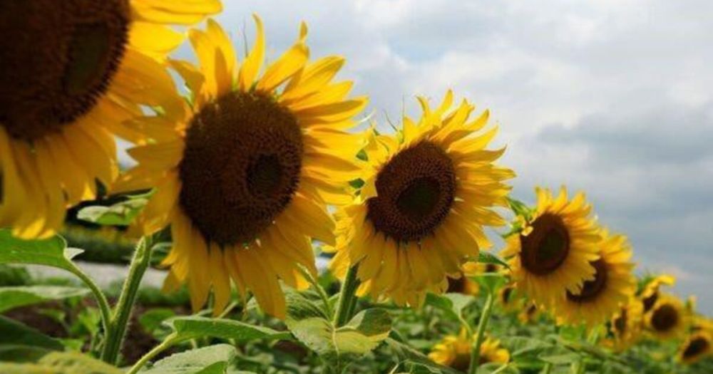 ������ ������������� �������� � ����� � ����� �������� ������