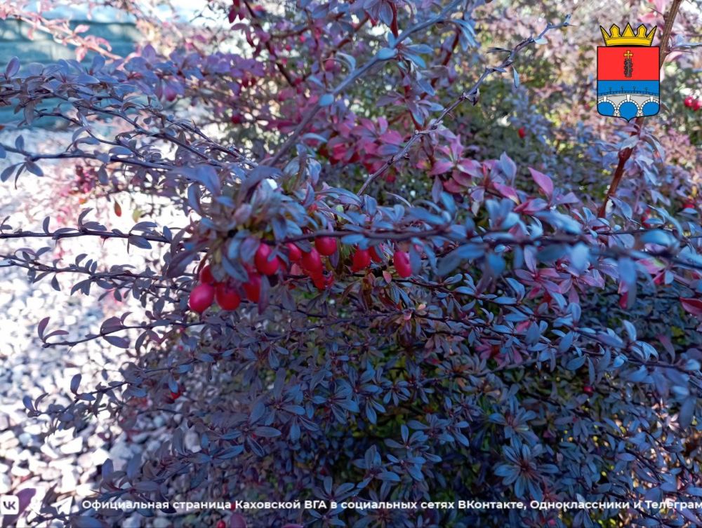 ������ ����, �������!. @VGA_Kakhovka