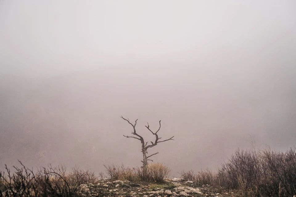 ����� � ������ ����: � ����������� 4 ������� � ���������� ������� ������ ������ ������