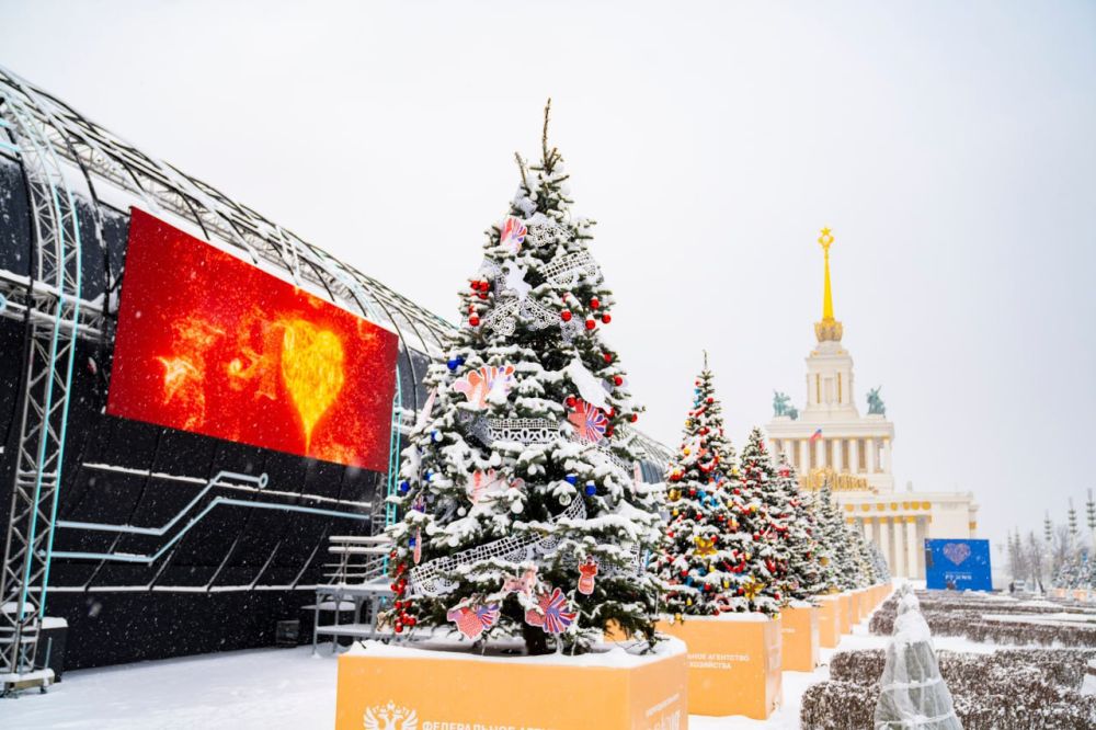 �����������. 13 ������� ���������� �������� ������ ������� ���� ������ ������� � ��������� �75 �� ���� � ������ �������� ��������