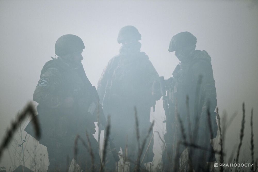 � ���� ��� ������ ��������� ������ ����������� Alligator