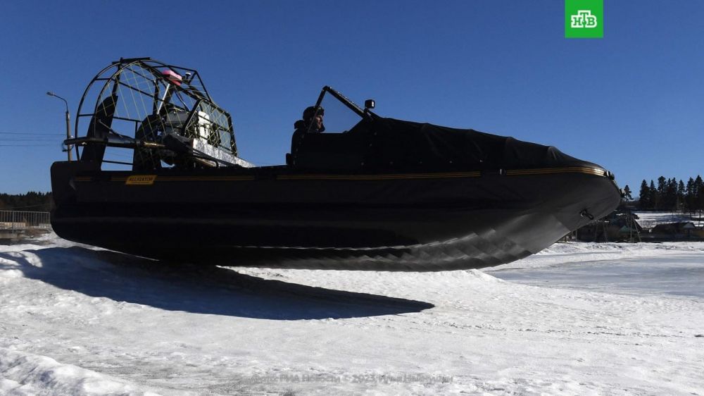 ����� ��� ������ ��������� ������� ����������� � ��������� Alligator