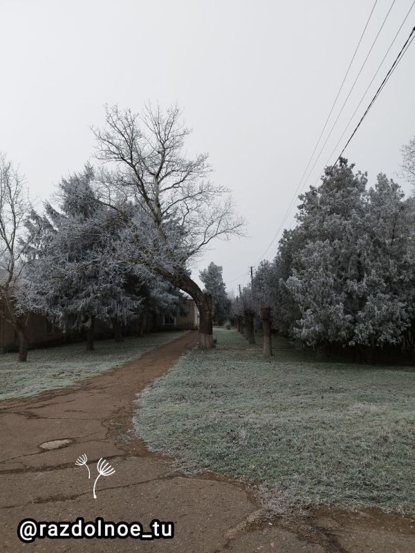 ����������� ���� �������� ���������, ���� ������ ���� ���������� ��� � ������ ����