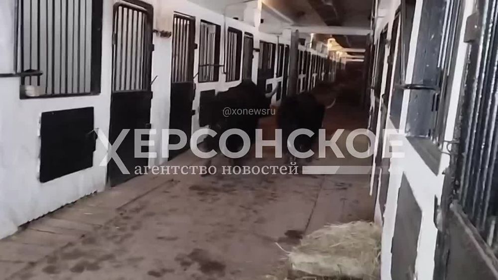 � ��� � ����� ����� ���������� :)