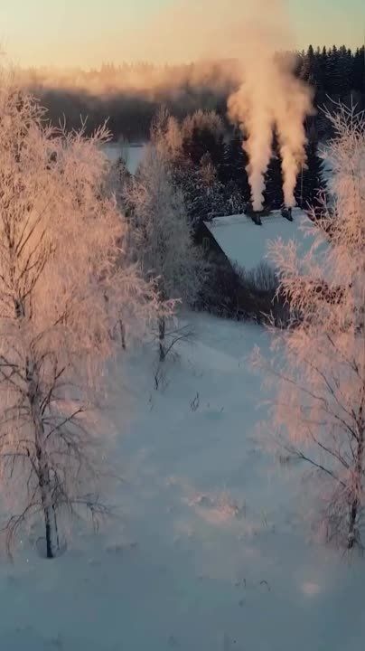 ������������ �� ������ � ����������� ���������