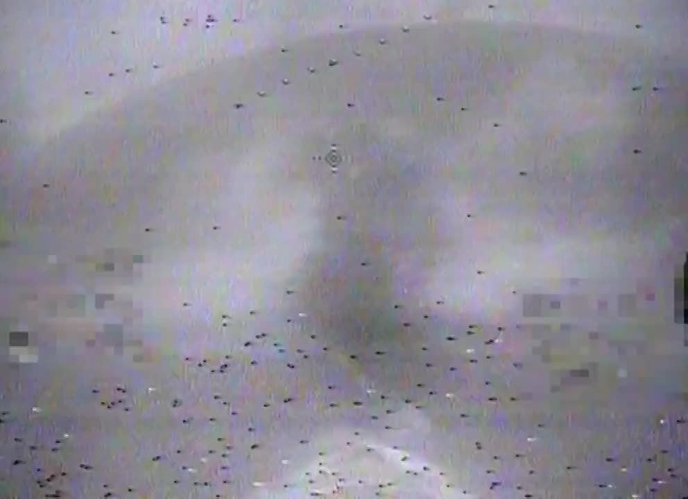 ����� ������� ���-4� ��� ������������� ������� ������ FPV ����� �� ������� �� ���������, ������� ������, ������� ������ ����� ������������ �� ������ ������ "��������"