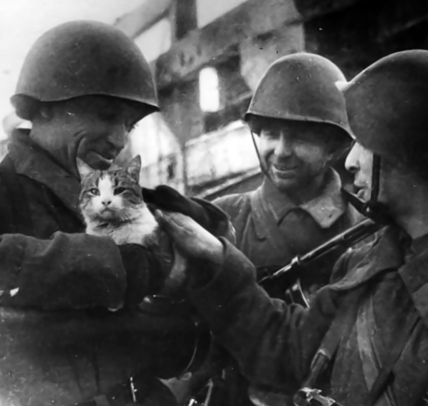 ���� �� �������: ����� � ���� ������� ������������� ����� 1941-1945