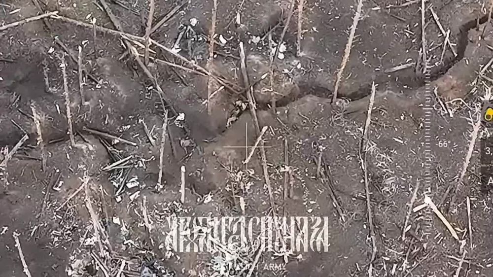 ��������� ������� ����� ���������� ���� ����� ������ �����������