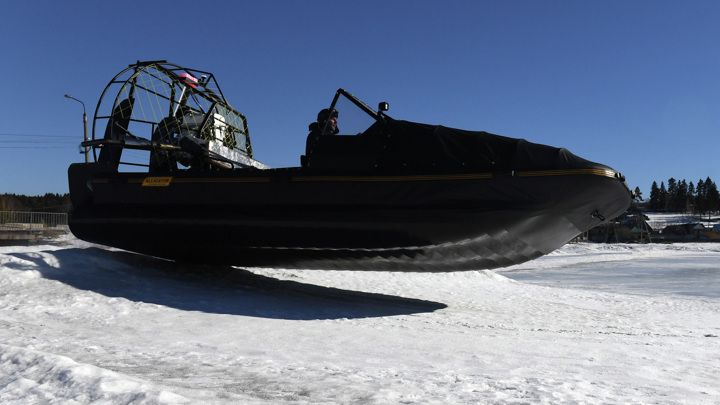 ���������� ����� ������ ��������� �� ������ "������ ����������" Alligator