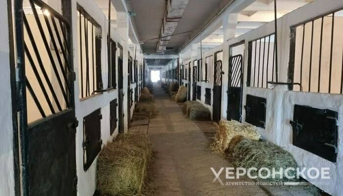 �������� �����, ���, ��������� �������� � ������� ����� ������ ����������� ��������-����