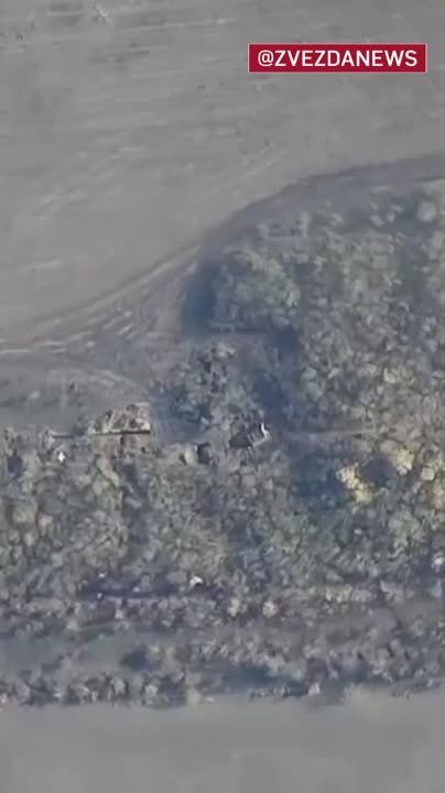 "�������" ��� ���������� ���������� ��� �� ������������ ������