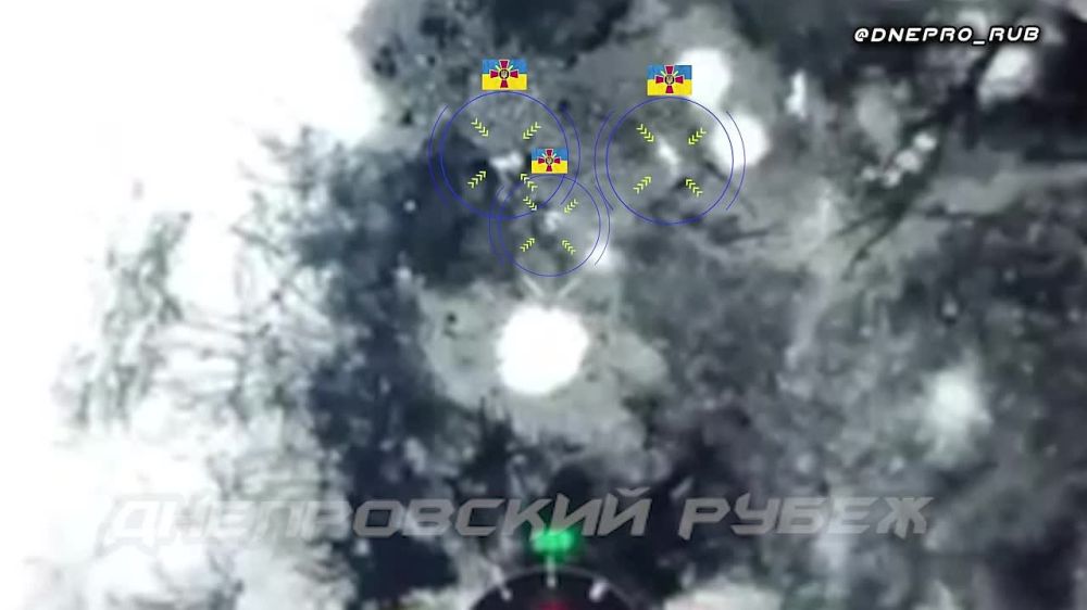 ����������� ����� "�����". ���������� �����������