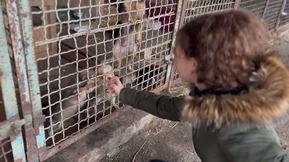 � ���� ��������� ������� ���������� ���������� �����-��������� ������� ������ ��������� ��������