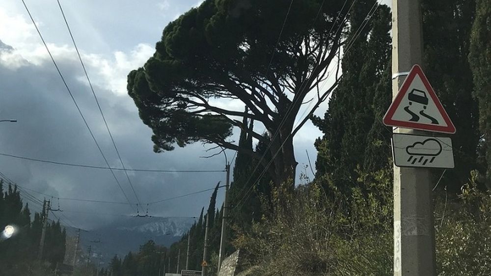 ���� ������ ����!�: ������� �����-��������� ���� �� ������� � ����� ���� ����� ������