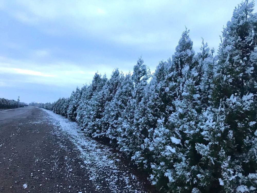 ����� �� �������� ��� ��������� �����!