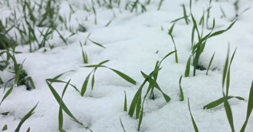 ���� ������������ ��������� ��������� �������� ������� ������ � ����� ��������